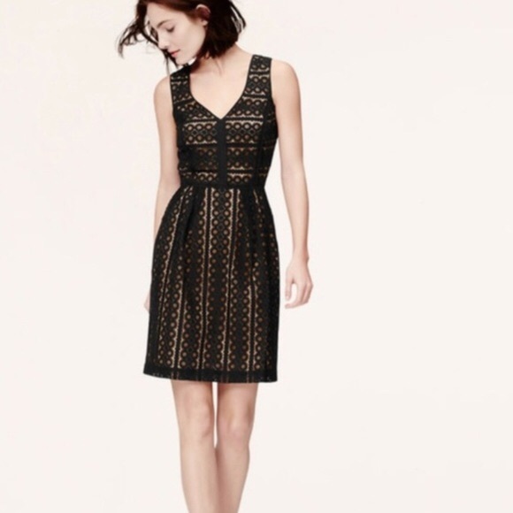 LOFT Dresses & Skirts - LOFT Geo Striped Black Lace A-Line Dress